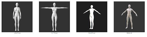 Cc33 body animation check 01.png