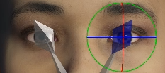Scan to cc3+ adjusting eye bones.png