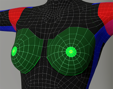 Cc body regions chest female copy.png