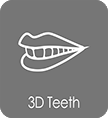 CT-3D-Teeth.png