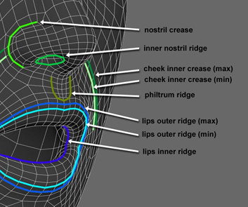 Proper Topology Mouth.png