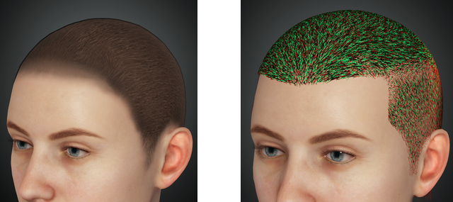 Cc34 hair scalp comparison.png