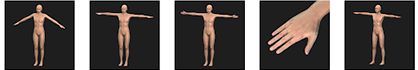 Cc33 body animation check 05.png