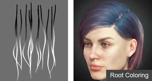 Cc34 hair root map.png