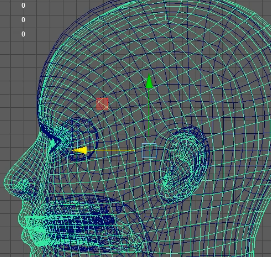 Scan to cc3+ aligning the head.png