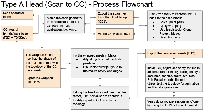 Scan to cc3+ process flowchart.png