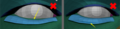 Thumbnail for version as of 19:04, 4 November 2025