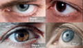 Thumbnail for version as of 19:04, 4 November 2025