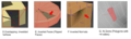 Thumbnail for version as of 19:48, 1 April 2026