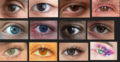 Thumbnail for version as of 19:04, 4 November 2025