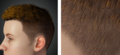 Cc34 hair exposed scalp old.png