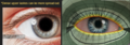 Thumbnail for version as of 19:04, 4 November 2025