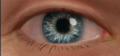 Thumbnail for version as of 19:04, 4 November 2025