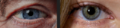 Thumbnail for version as of 19:04, 4 November 2025