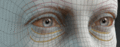 Scan to cc3+ ideal eye topology 02.gif