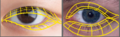 Thumbnail for version as of 19:04, 4 November 2025