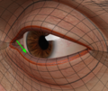 Thumbnail for version as of 02:32, 7 October 2025